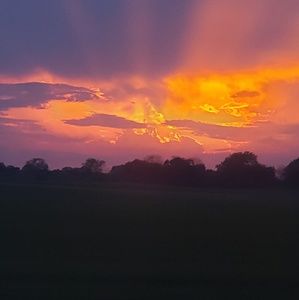 Meet your Posher, Abigail